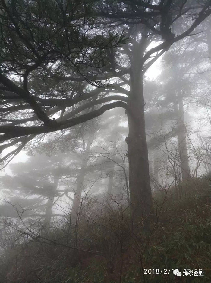 拜尔地板黄山之旅