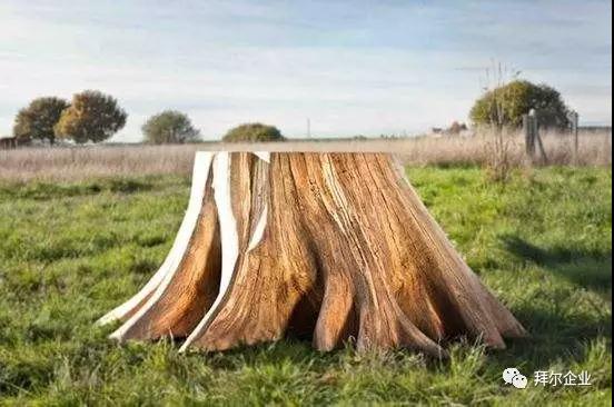 中国十大木地板品牌